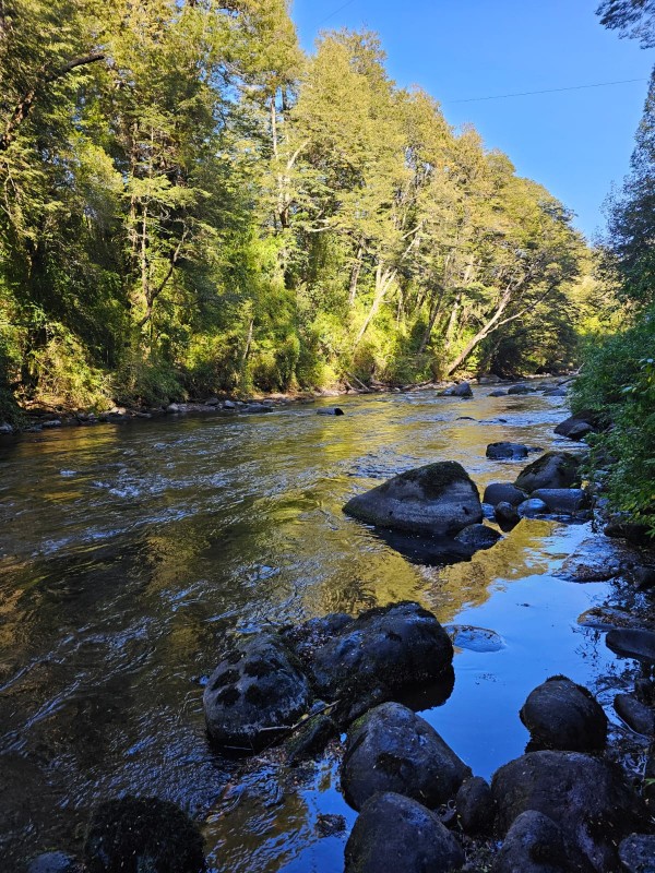 Lodge Ecoturistico Con Domos, Restaurante, Spa, Bosque y Rio