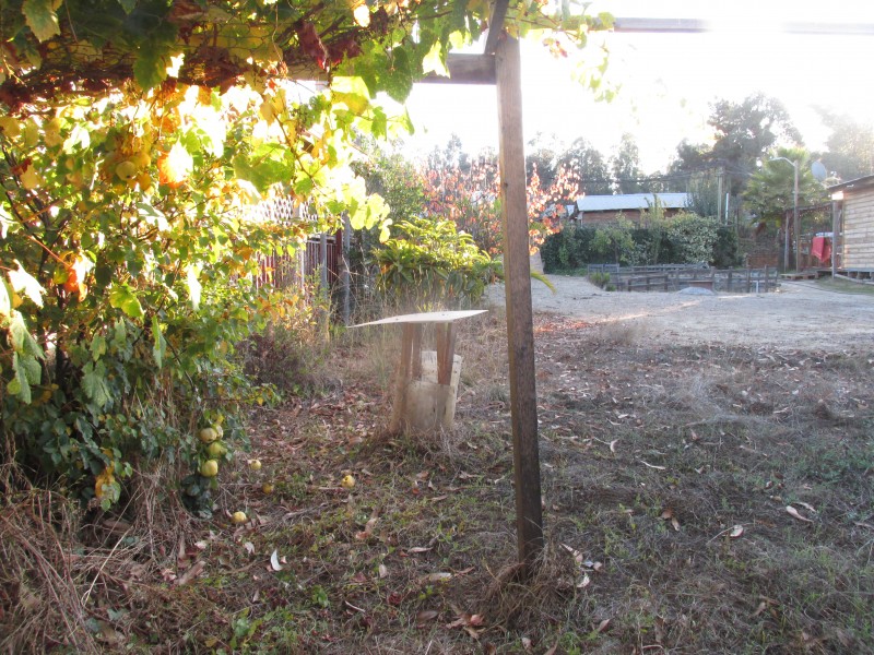Vendo Sitio 250 Metros Aproximado