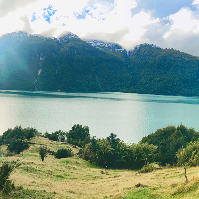 Vive la Patagonia Real | 6 Hectáreas, Río y Privacidad Total