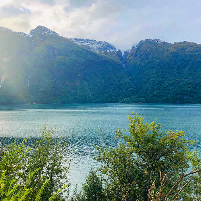 Vive la Patagonia Real | 6 Hectáreas, Río y Privacidad Total