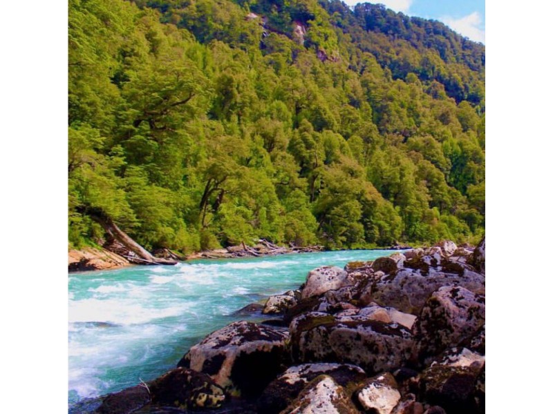 Vive la Patagonia Real | 6 Hectáreas, Río y Privacidad Total