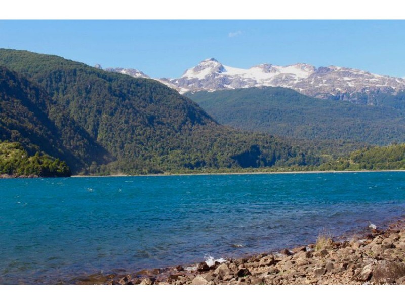 Vive la Patagonia Real | 6 Hectáreas, Río y Privacidad Total