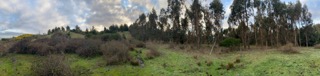 Venta de Gran Terreno en Florida Bio Bio