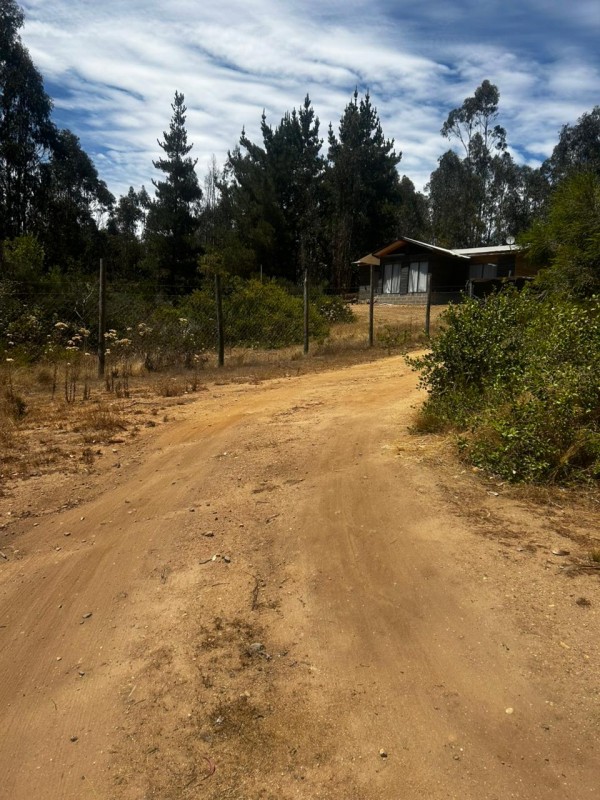 Vendo Parcela 5000M2 en el Quisco Condominio el Totoral