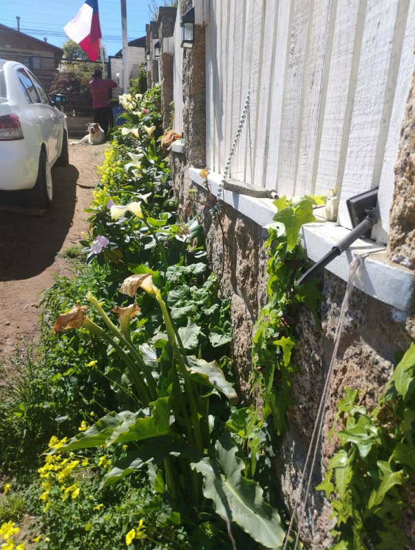 Casa en Punta de Tralca Rol Propio