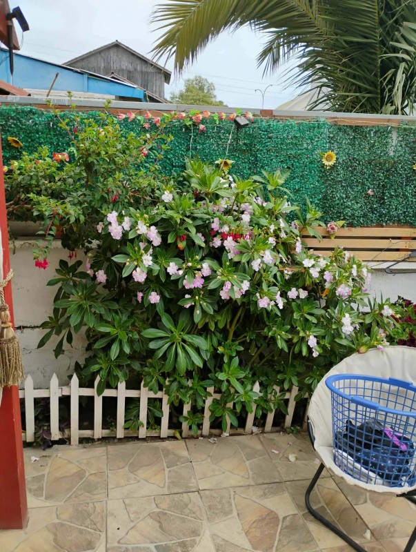 Casa en Punta de Tralca Rol Propio