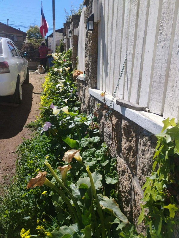 Casa en Punta de Tralca Rol Propio