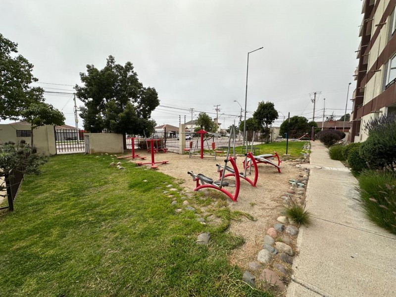 Arriendo Departamento Amoblado O Sin Amoblar – la Serena