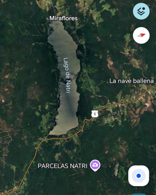 Parcela Con Río Propio en Chiloé, Acceso Por Ruta 5 – Natura