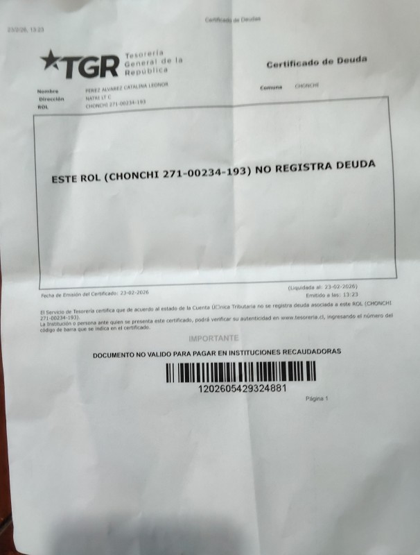 Parcela Con Río Propio en Chiloé, Acceso Por Ruta 5 – Natura