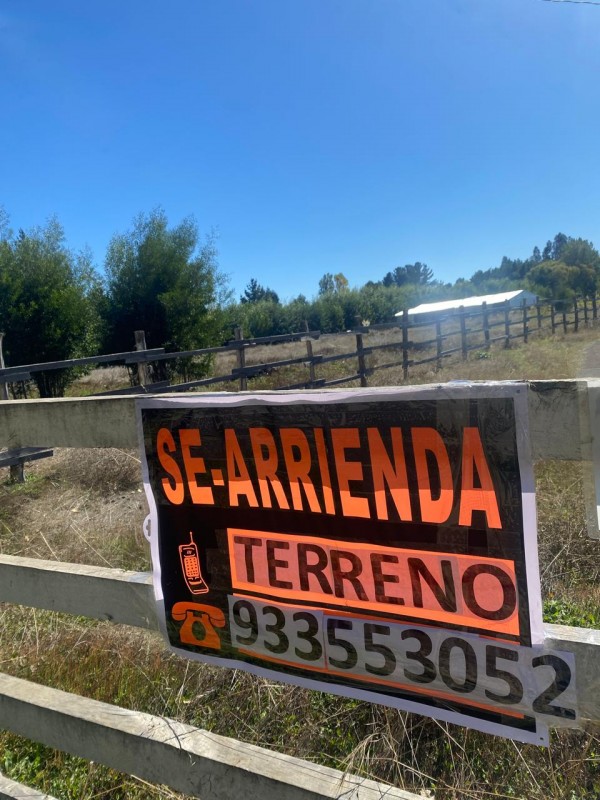 Arriendo Terreno para Uso Empresarial Monte Águila