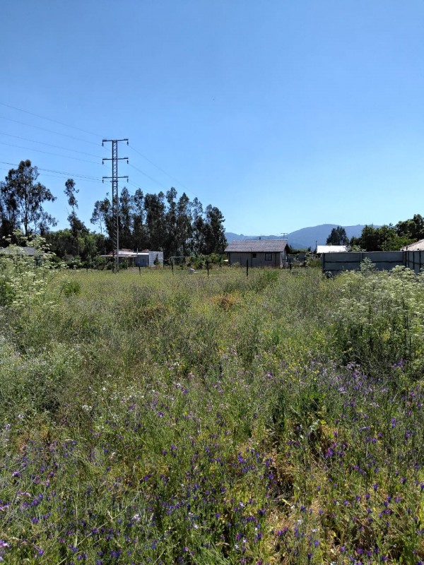 Excelente Terreno Embalse Machicura Colbún
