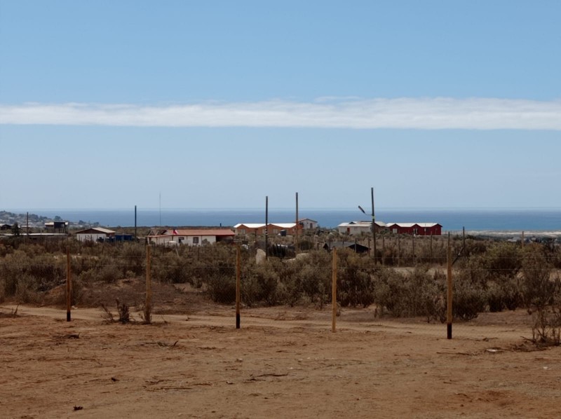 Parcela 5.000 Mt2, Desbrozada y Cercada, Vista Al Mar.
