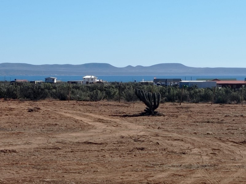 Fotografía de Parcela 5.000 Mt2, Desbrozada y Cercada, Vista Al Mar.
