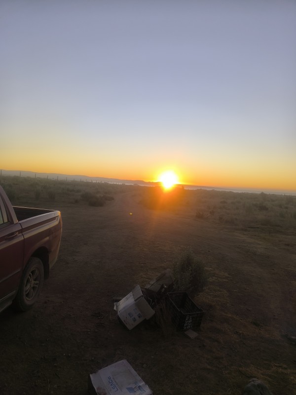 Parcela 5.000 Mt2, Desbrozada y Cercada, Vista Al Mar.