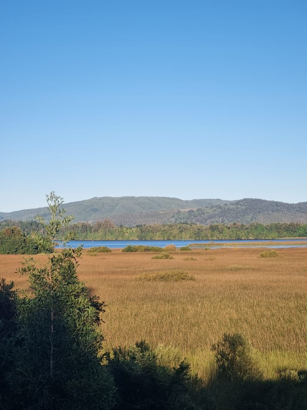 Cabaña Departamento