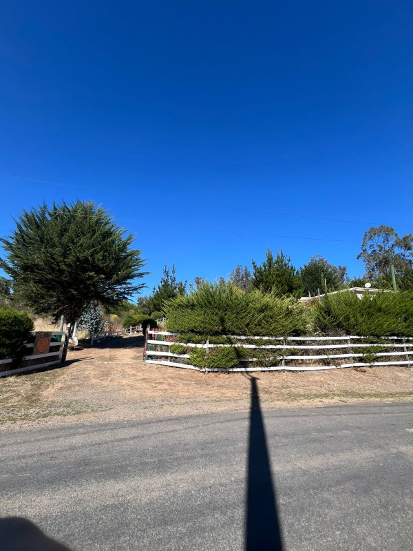 Fotografía de Oportunidad San Enrique