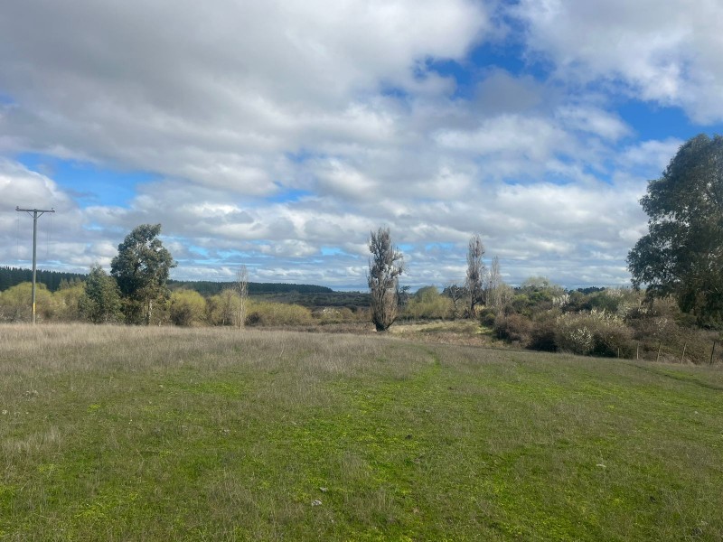 Se Vende Terreno el Naranjo