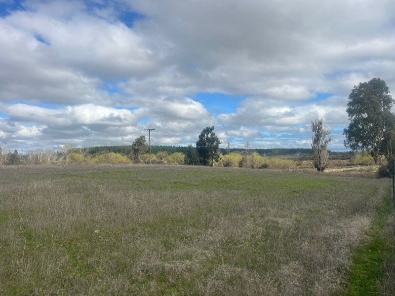 Se Vende Terreno el Naranjo