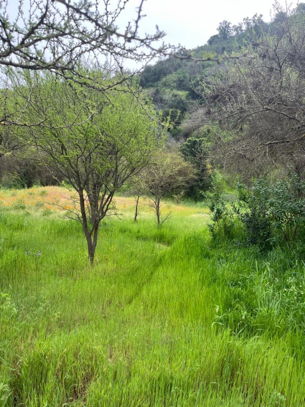 Terreno en Tantehue, Apropiadamente 9,5 Hectáreas