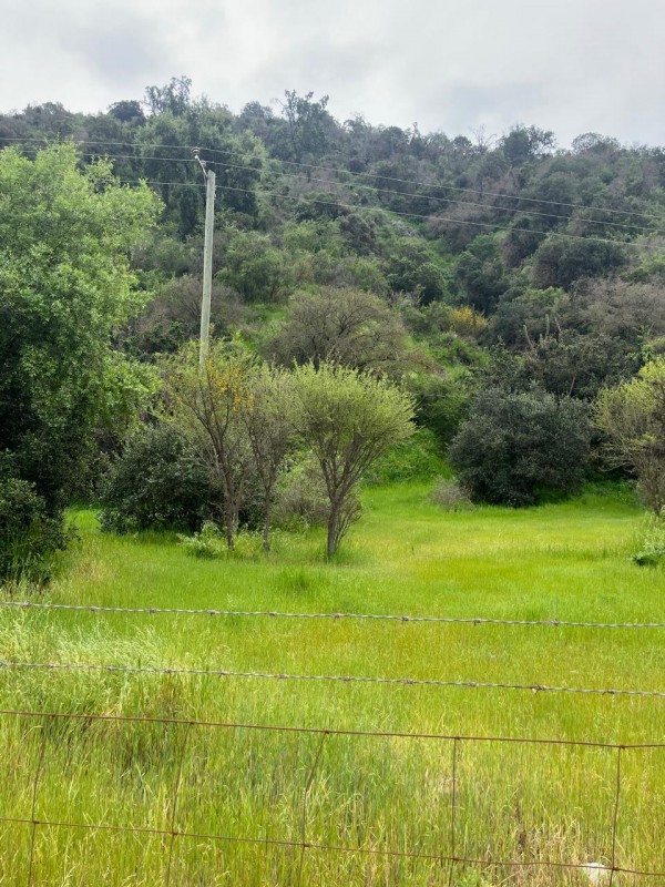 Terreno en Tantehue, Apropiadamente 9,5 Hectáreas