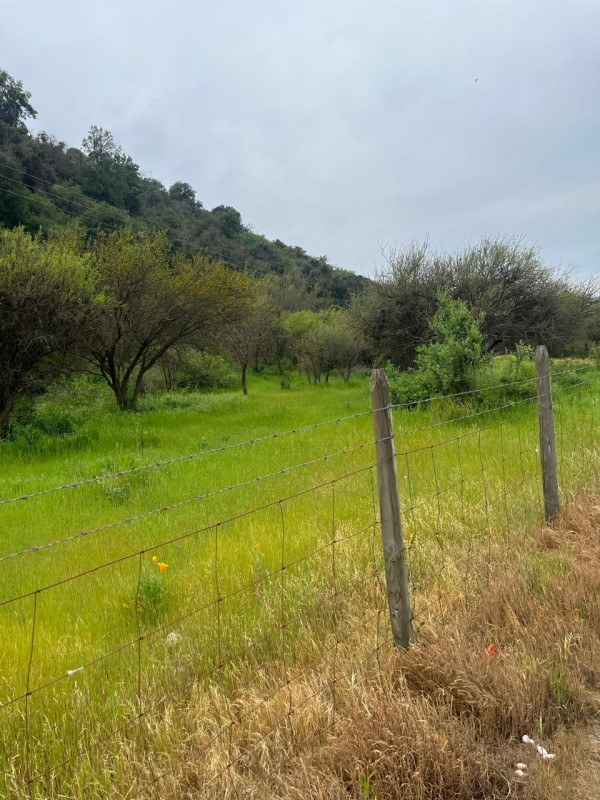 Terreno en Tantehue, Apropiadamente 9,5 Hectáreas