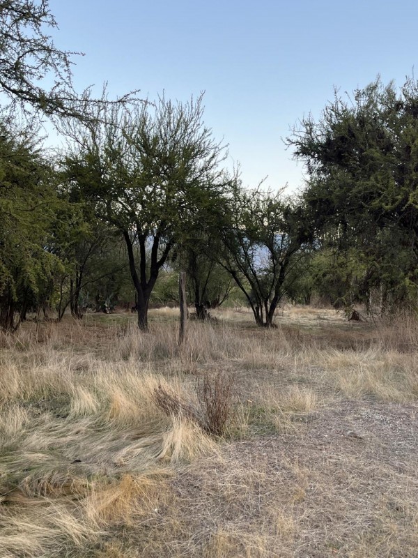 Parcela de 8.648 M² en Melipilla A $20.000.000