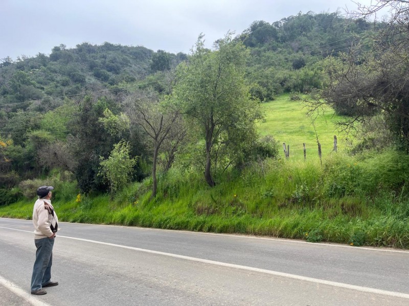 Terreno en Tantehue, Apropiadamente 9,5 Hectáreas