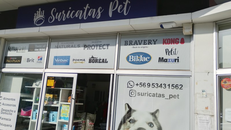 Suricatas Pets Se Vende Derecho Llave