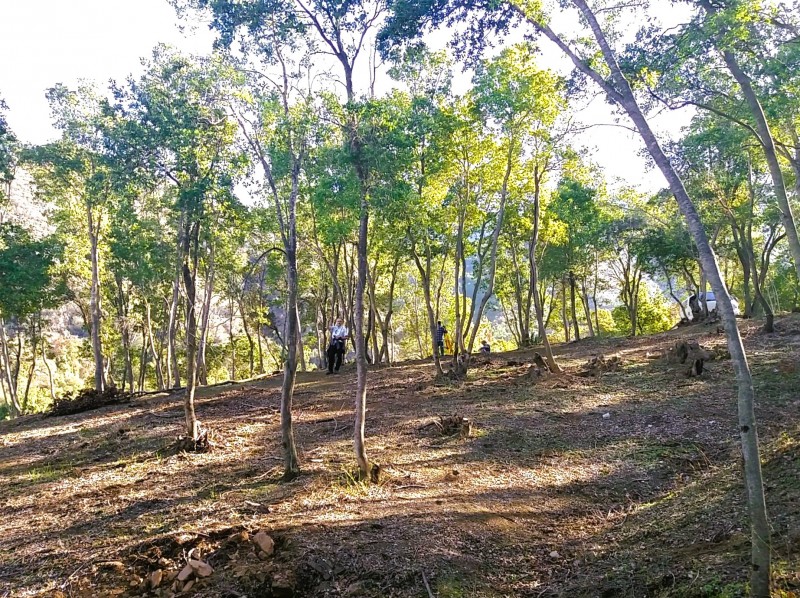 Parcela de Montaña y Vida Outdoor | Altos de Cantillana
