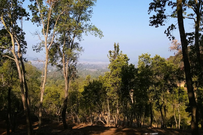 Parcela de Montaña y Vida Outdoor | Altos de Cantillana