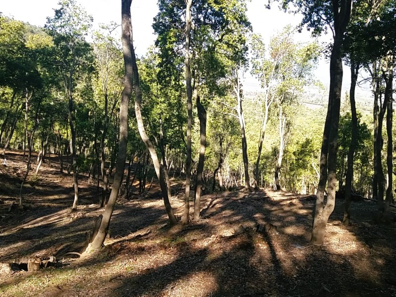 Parcela de Montaña y Vida Outdoor | Altos de Cantillana