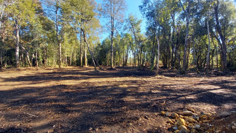 Vende Hermosa Parcela en Country Villarrica Ii