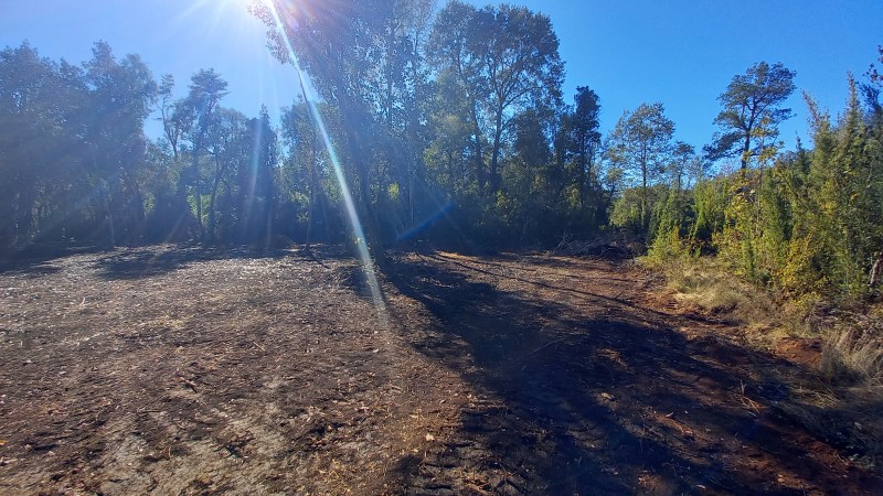 Vende Hermosa Parcela en Country Villarrica Ii