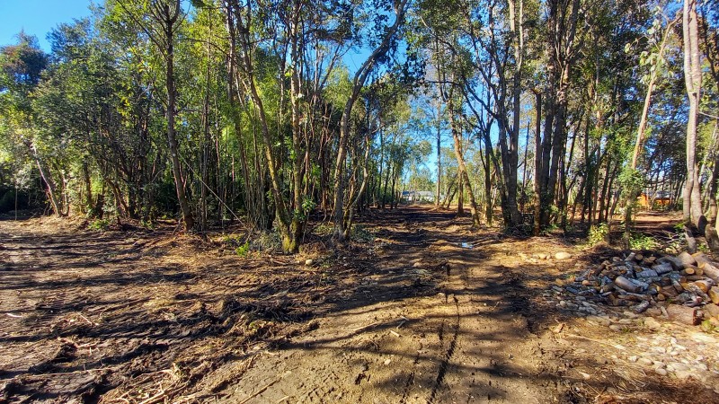 Vende Hermosa Parcela en Country Villarrica Ii