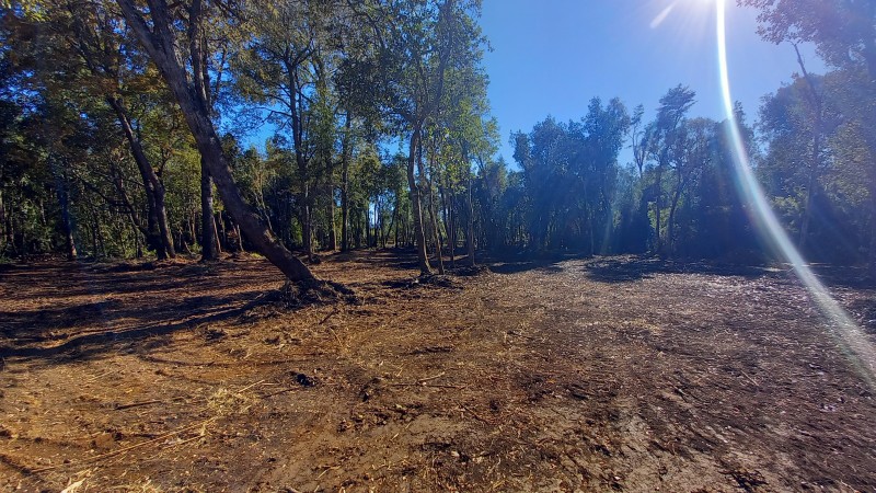 Vende Hermosa Parcela en Country Villarrica Ii