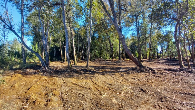 Vende Hermosa Parcela en Country Villarrica Ii