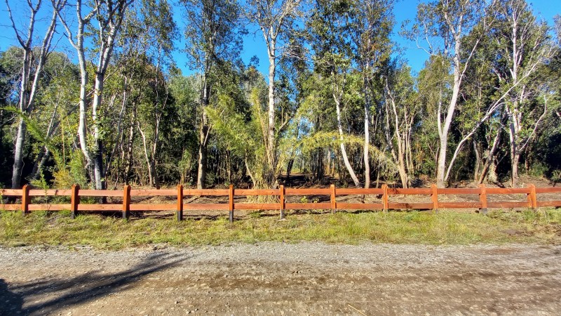 Fotografía de Vende Hermosa Parcela en Country Villarrica Ii