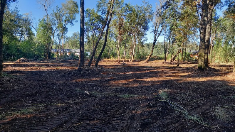 Vende Hermosa Parcela en Country Villarrica Ii