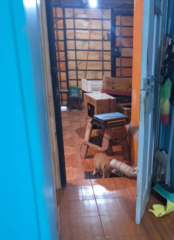 Departamento de Primer Piso Con 4D+1B+1E