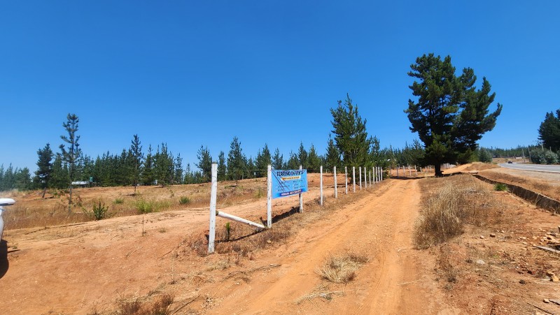 Parcela Con Vista Despejada A 20 Min de Pichilemu
