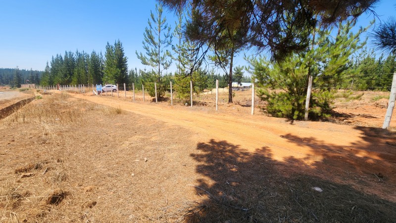 Parcela Con Vista Despejada A 20 Min de Pichilemu