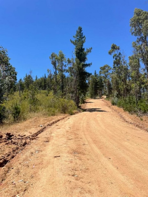 los Aromos de Tilicura Vichuquén