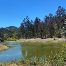 los Aromos de Tilicura Vichuquén