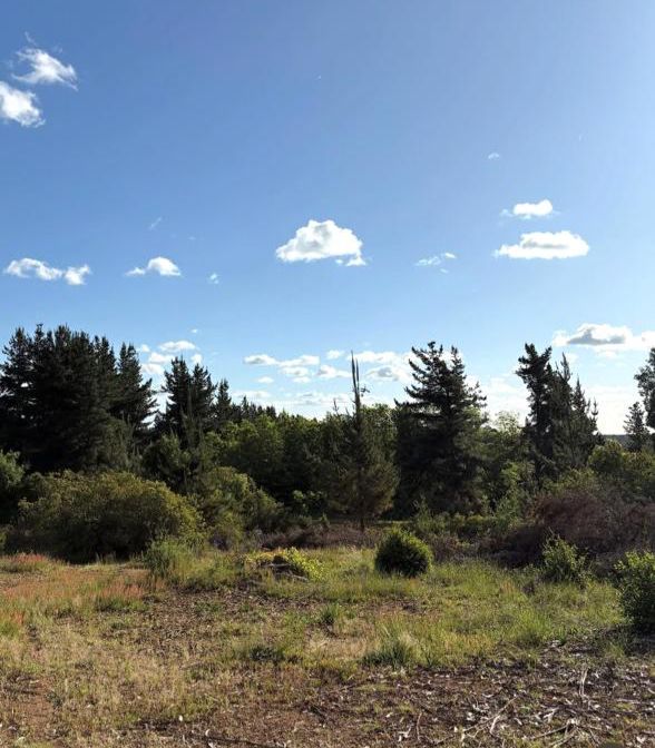 Fotografía de Precioso Terreno de 5.000 M2, Ideal para Tu Proyecto