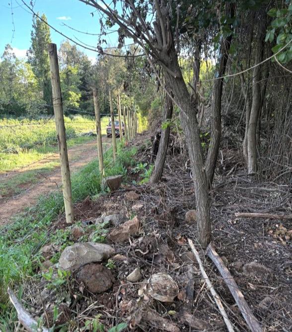 Precioso Terreno de 5.000 M2, Ideal para Tu Proyecto