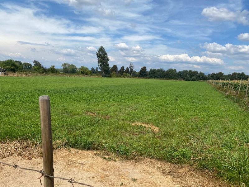 Terreno Agrícola, Tierra de Primera Con Acciones de Agua