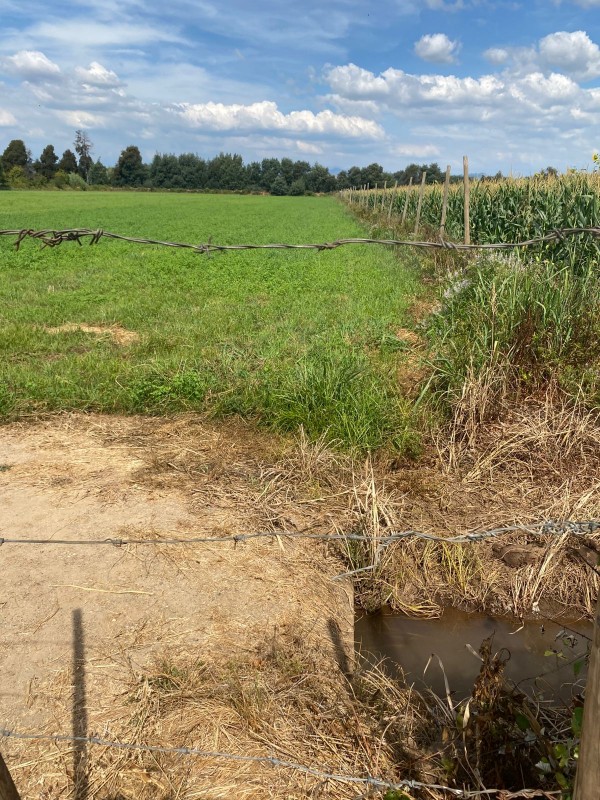 Terreno Agrícola, Tierra de Primera Con Acciones de Agua