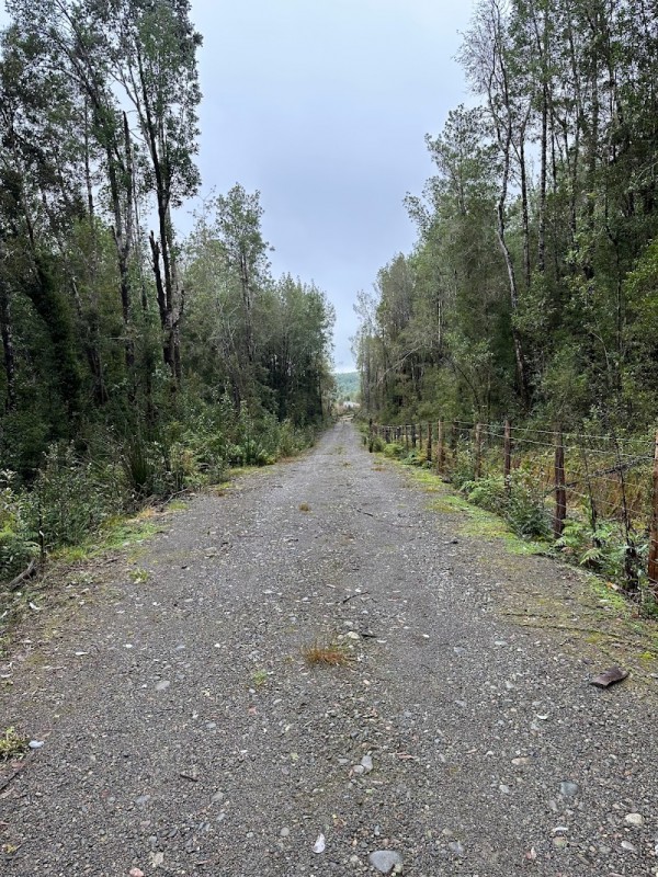 Parcela Chiloé -Queilen Ruta W-919