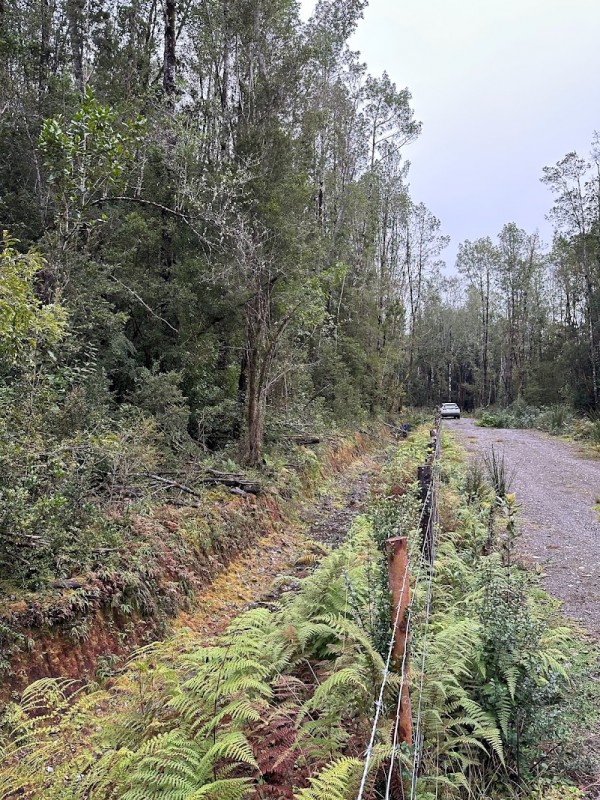 Parcela Chiloé -Queilen Ruta W-919